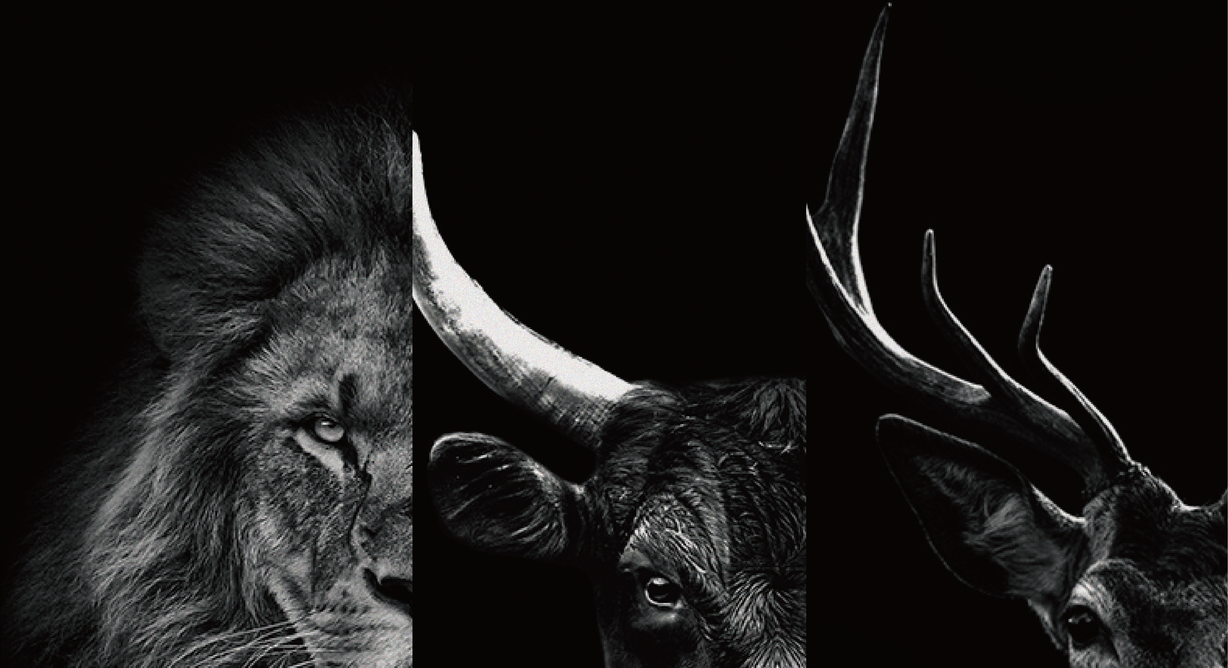 Exquisite Animal Jewelry | Gold & Silver Bracelets, Necklaces