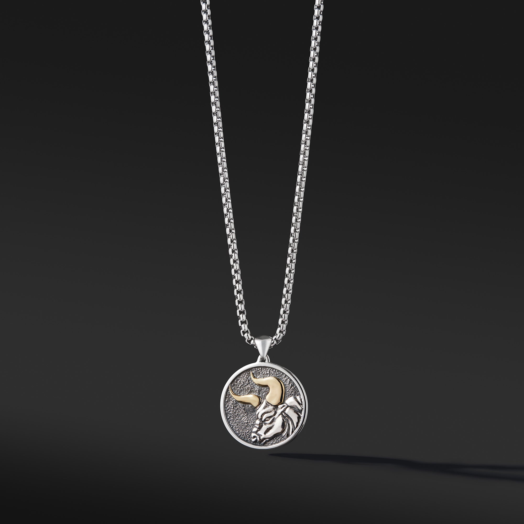 Zodiac necklace, taurus pendant necklace, Star sign necklace for men,