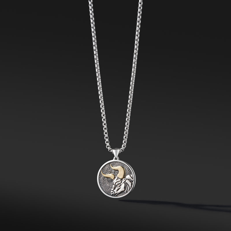 Zodiac necklace, taurus pendant necklace, Star sign necklace for men, 